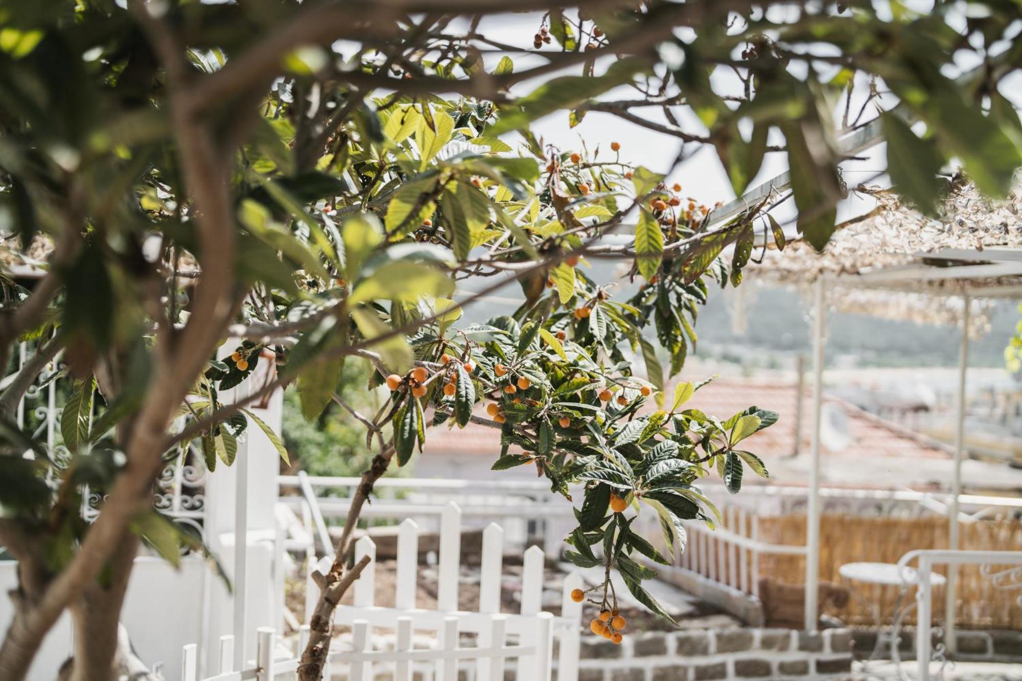 Apartmán The Garden House Kavala Exteriér fotografie