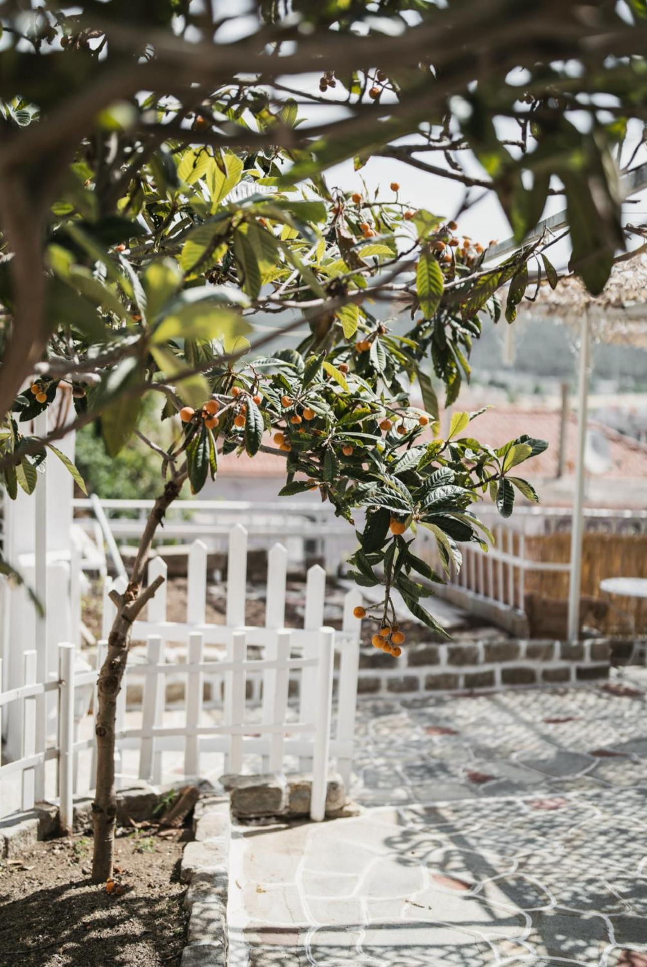Apartmán The Garden House Kavala Exteriér fotografie